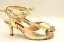 Chicago tango shoes