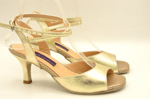 Chicago tango shoes